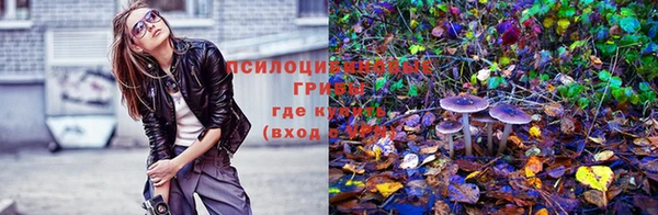 прущая мука Белокуриха